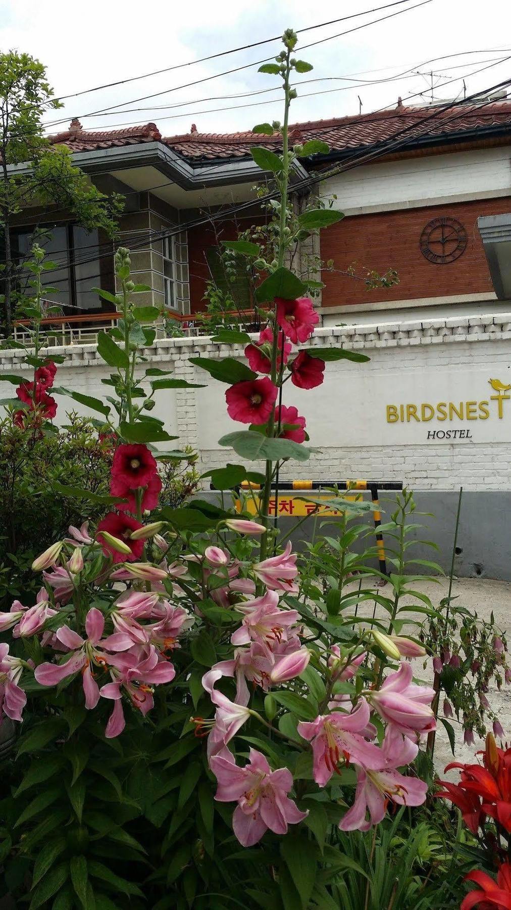 Birdsnest Hostel Hongdae Foreigner Only Séoul Extérieur photo